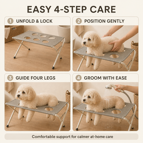 Four-step guide: unfold and lock the stand, position the dog gently, guide four legs through the openings, then groom or rinse with both hands free